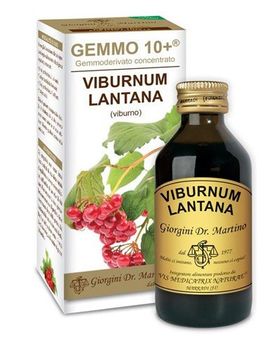 VIBURNO LIQ ANALCOLICO 100ML