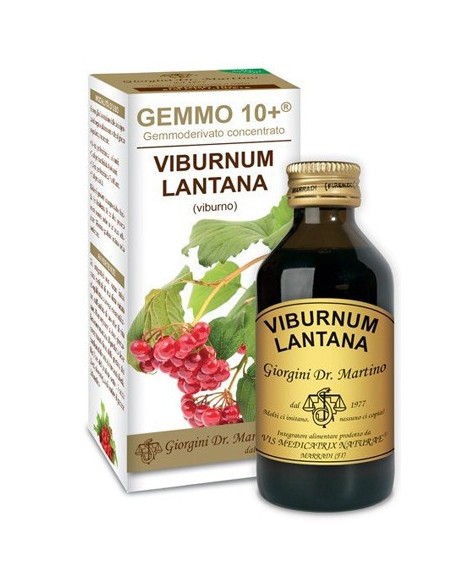 VIBURNO LIQ ANALCOLICO 100ML