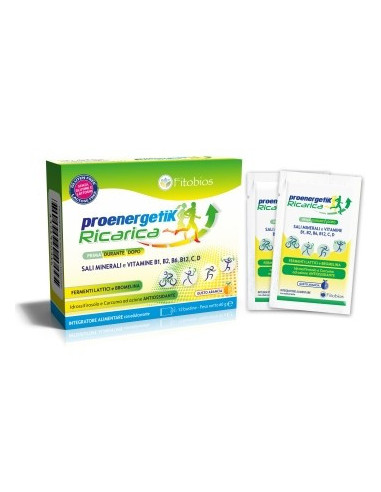 PROENERGETIK RICARICA 12BUST