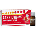 CARNIDYN BOOST 10FL