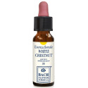 WHITE CHESTNUT ORIGINAL 10ML
