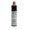 AINSWORTHS RED CHESTNUT 10 ML