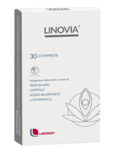 PIC LANCETTE PUNGITO 250PZ