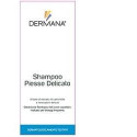 DERMANA IN ADDITION TO THE ABOVE