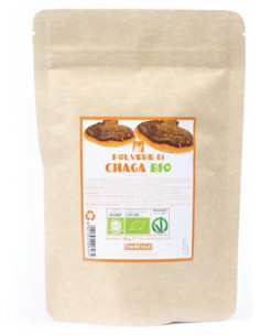 CHAGA POLVERE BIO 60G