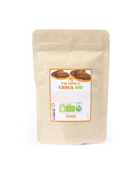 CHAGA POLVERE BIO 60G