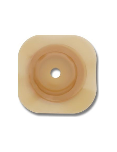 CONFORM 2 PLACCA CONV CERAP 55