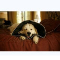 COMFY CONE CULAR ELISABET XL
