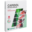 CAPIDOL FOR THE PURPOSES OF THIS REGULATION, THE FOLLOWING DEFINITIONS SHALL APPLY: