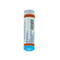 GRAPHITES 15CH 80GR 4G