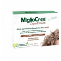 MIGLIOCRES TABLE 15