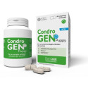 CONDROGEN PUPPY 90CPR