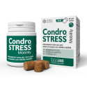 CONDROSTRESS FURNITURE 30CHEWS