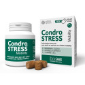 CONDROSTRESS MOBILITY 60CHEWS