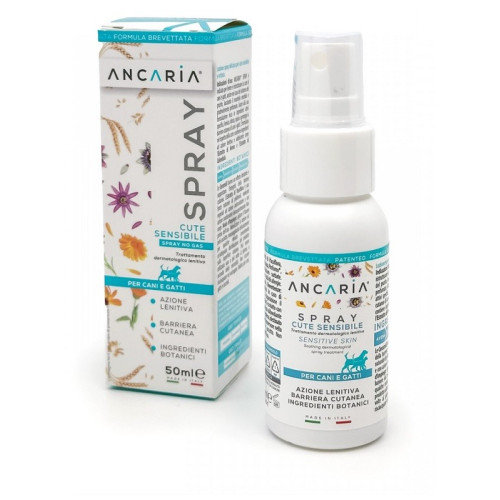 ANCHOR LOTION SPRAY 50 ML