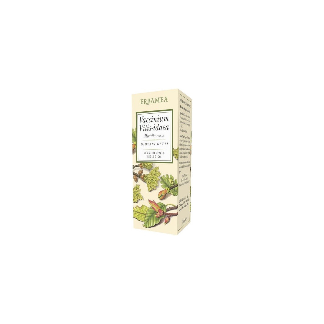 VACCINIUM VITIS BIO 50ML