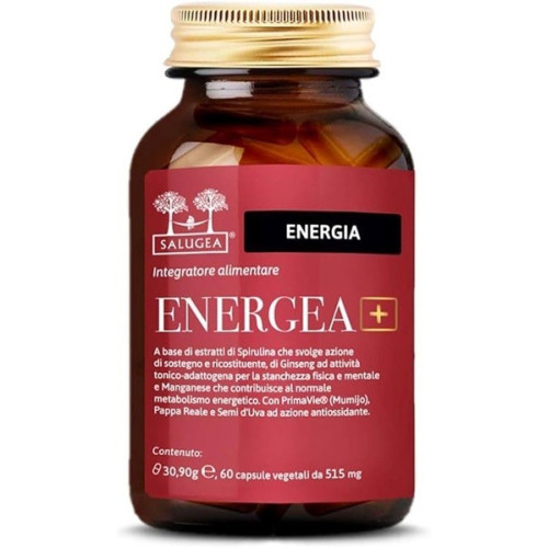 ENERGY+ SALUGEA 60CPS