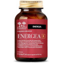 ENERGY+ SALUGEA 60CPS