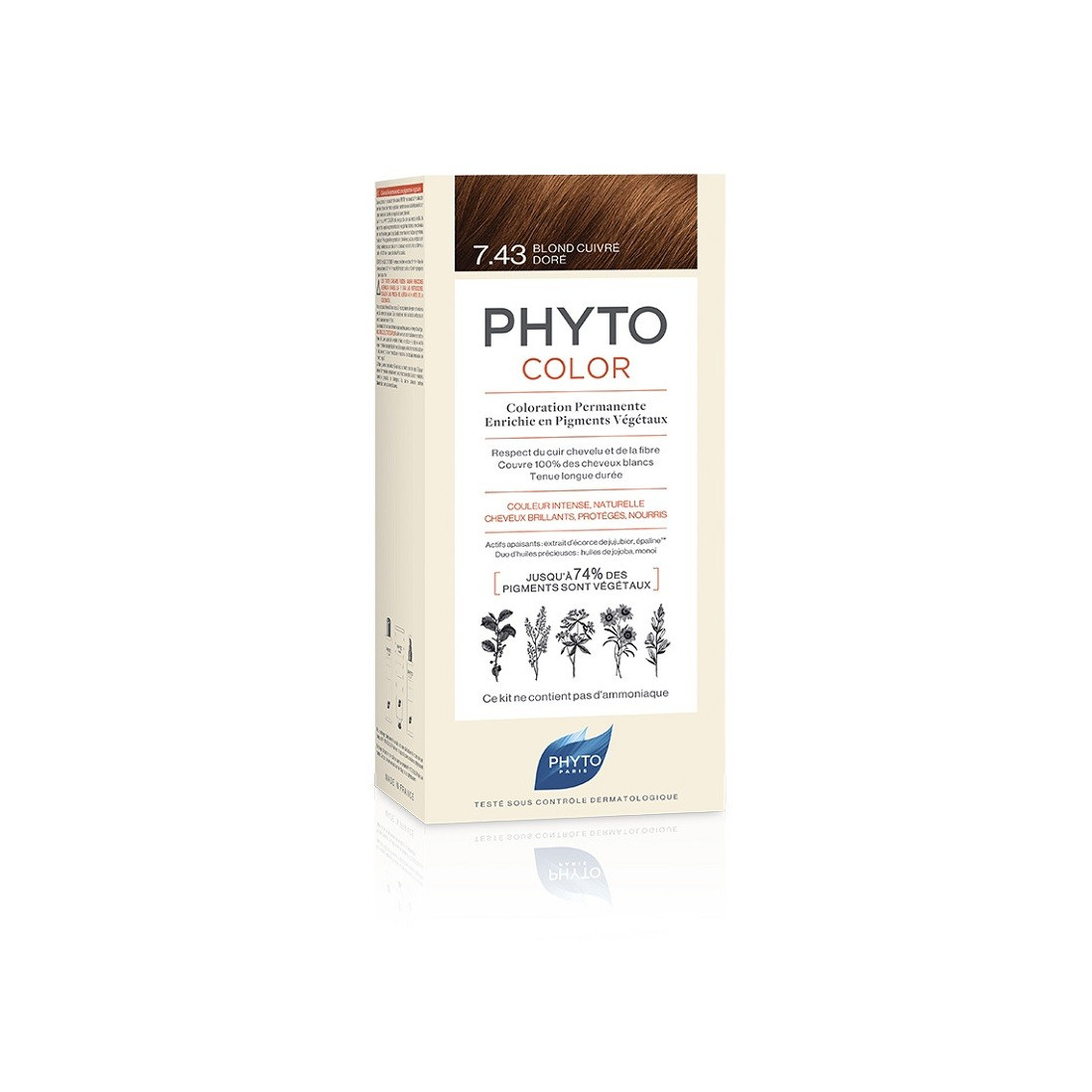 PHYTOCOLOR 7.43 BIONDO RAM DOR
