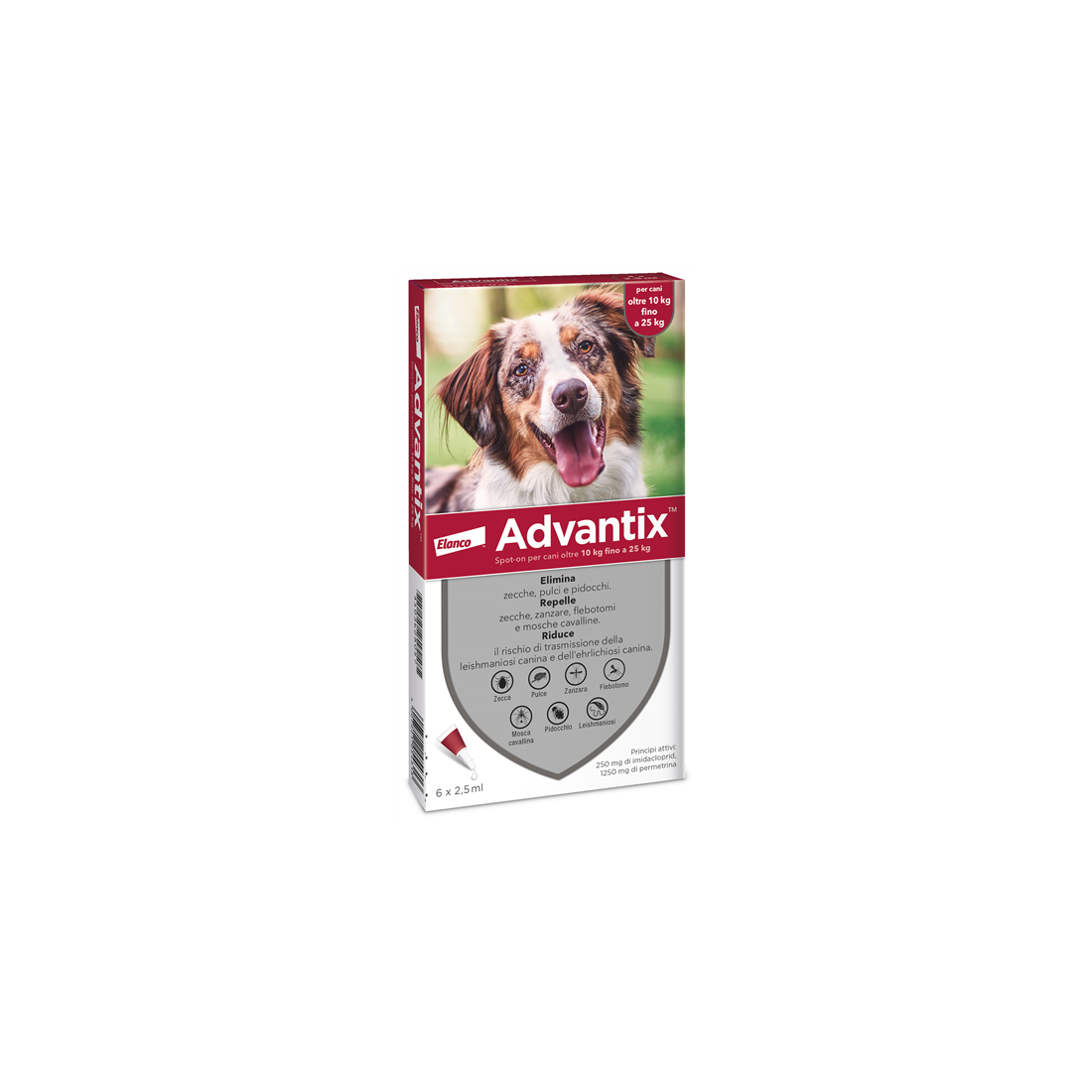 ADVANTIX SPOT ON 6PIP 10-25KG