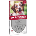 ADVANTIX SPOT ON ANTIPARASSITARIO 6 PIP 10-25KG