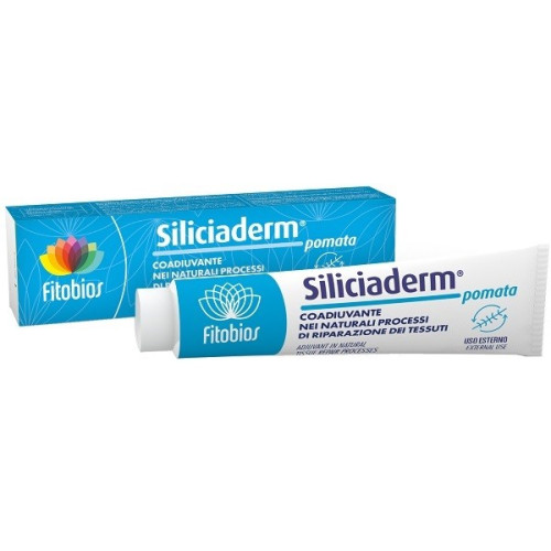 SILICIADERM POMATA 50 ML OF WHICH: