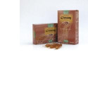 GINKGO BILOBA ORGANIC 20 AMPOULES