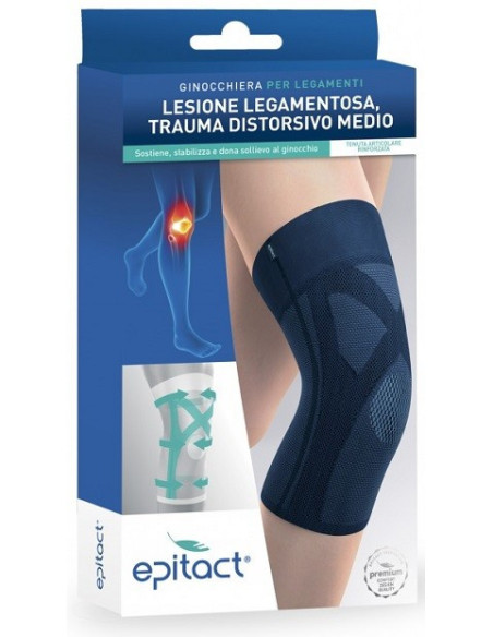 EPITACT GINOCCHIERA LEGAM 1