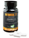 ACIDOPHILUS K BOTANICAL 30CPS