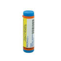 PULSATILLA 012LM GL 1G