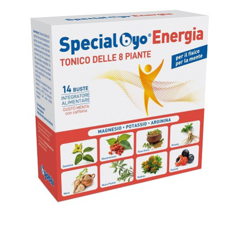 SPECIAL BYO ENERGY 14BUST
