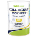 WHYNATURE COLLAGES RIGEN 333G