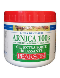 ARNICA 100'S GEL EX FT RILA500