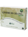 GERME DI GRANO BENOIT 60CPR
