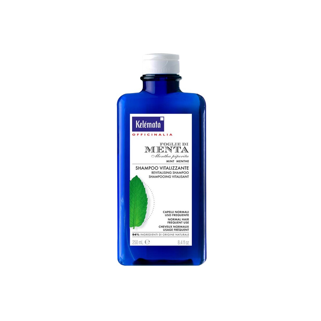 SHAMPOO MENTA 250ML
