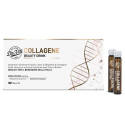 COLLAGENE BEAUTY DRINK DR VITI