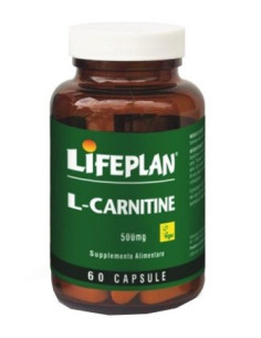 L-CARNITINE 500MG 60CPS