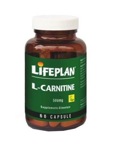 L-CARNITINE 500MG 60CPS