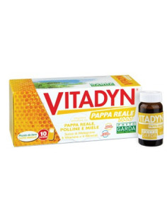 VITADYN PAPPA REALE 1000 10FL