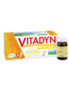 VITADYN PAPPA REALE 1000 10FL