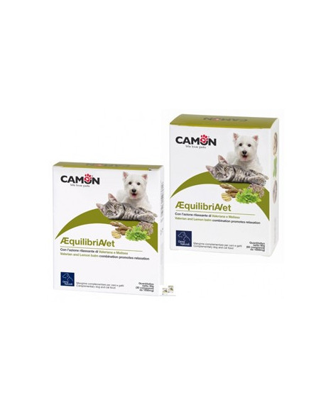AEQUILIBRIA VET 60CPR