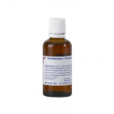 CHELIDONIUM/CURCUM 50ML GT