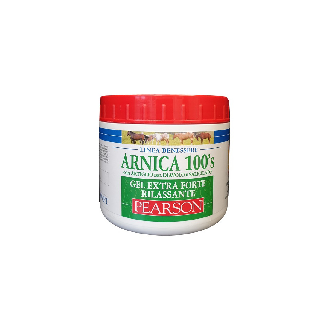 ARNICA 100'S GEL EX FT RILA500