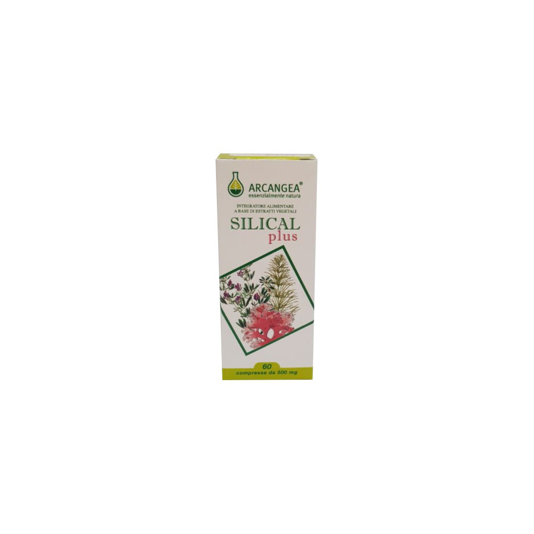 SILICAL PLUS 60CPR