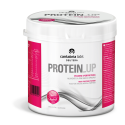 PROTEIN UP BARATTLE 400G