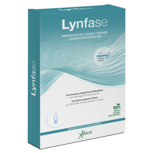 LYNFASE CONCENTRATE FLUIDO12FL
