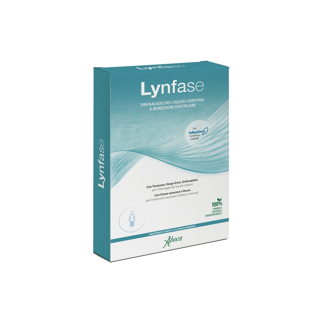 LYNFASE CONCENTRATE FLUIDO12FL