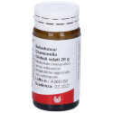 BELLADONNA CHAMOM 20G GL WALA