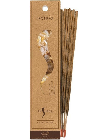 INCENSO 10STICK