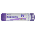 RHUS TOXICODENDRON BOIRON 30CH 80GR 4G